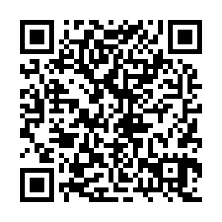 QR code for plate 2PT 965
