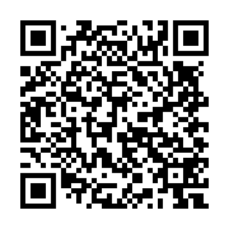 QR code for plate 2PT N58