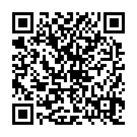 QR code for 2PZ334