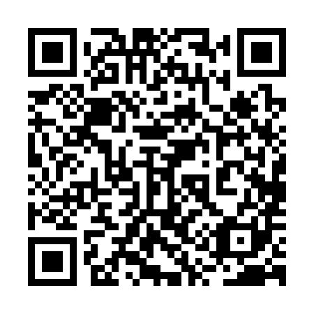 QR code for plate 2Q0 381