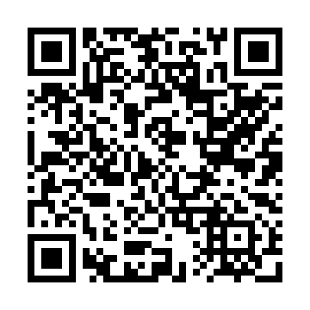 QR code for 2Q2 291