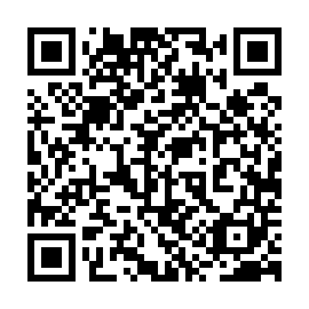 QR code for 2Q4 541
