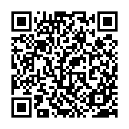 QR code for plate 2Q9 587