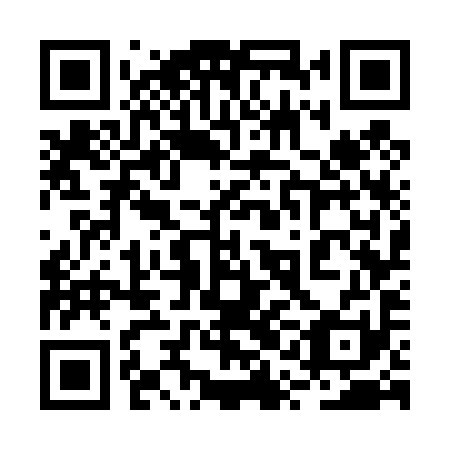 QR code for plate 2QG 491