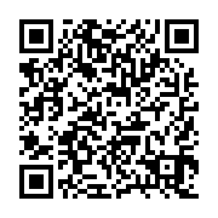 QR code for plate 2QJ 011