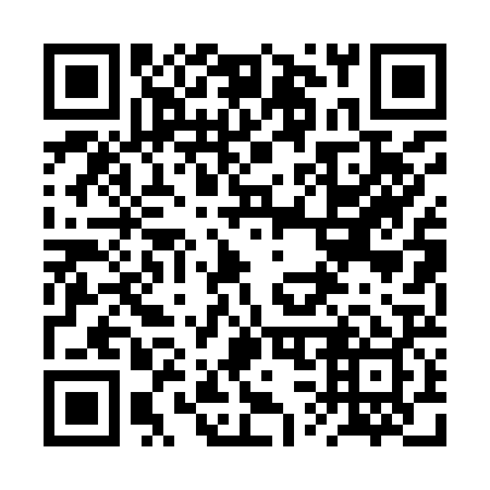 QR code for plate 2S0 929