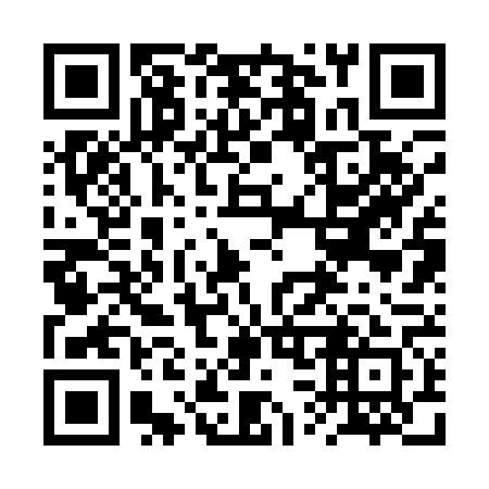 QR code for 2S2 161