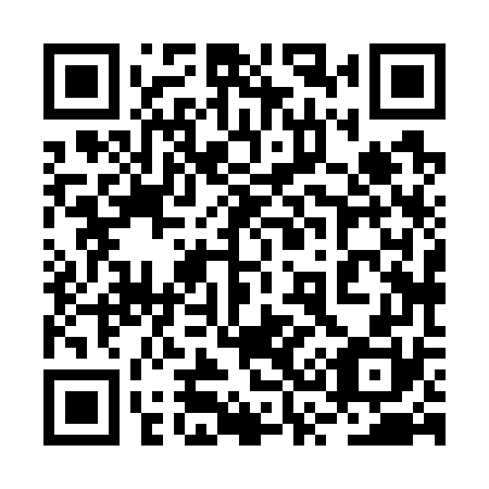 QR code for plate 2S8 770