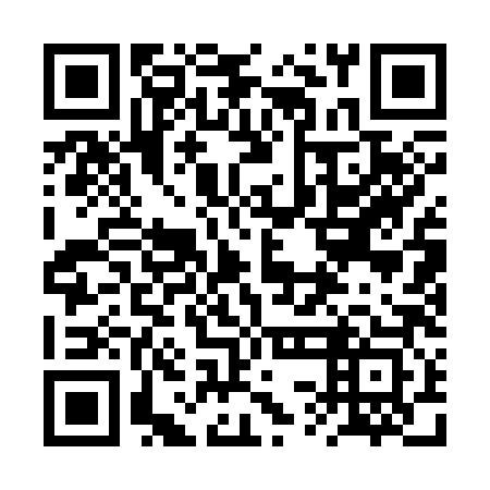 QR code for 2SA383