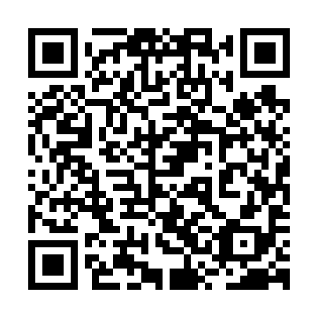 QR code for plate 2SE 698