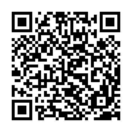 QR code for 2SPP96