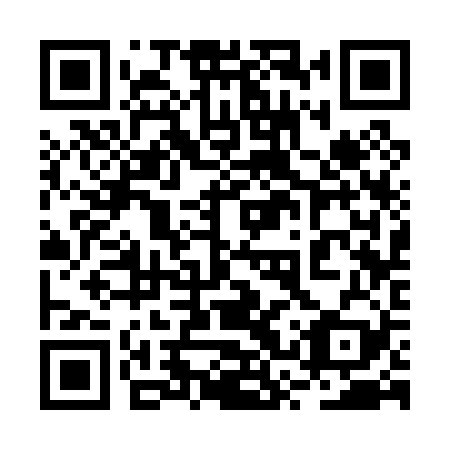 QR code for plate 2SS 029