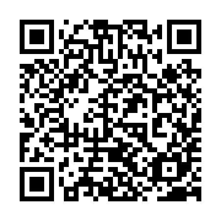 QR code for plate 2SS 285