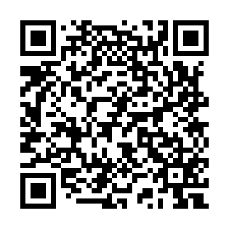 QR code for 2SS955