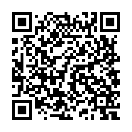 QR code for 2SV 966