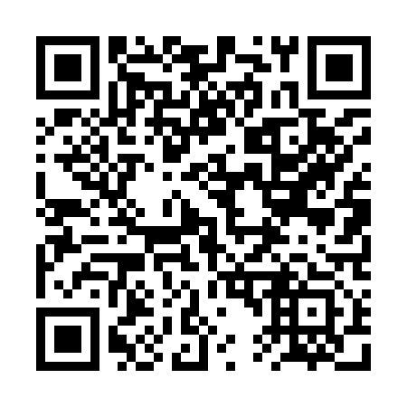 QR code for plate 2T4 913