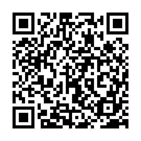 QR code for plate 2T5 172