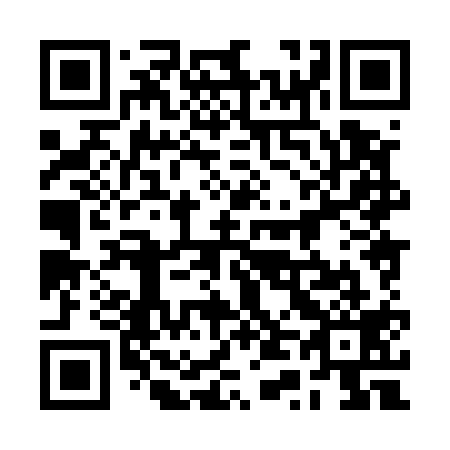 QR code for plate 2T8 519