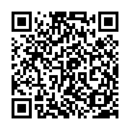 QR code for plate 2TB P61