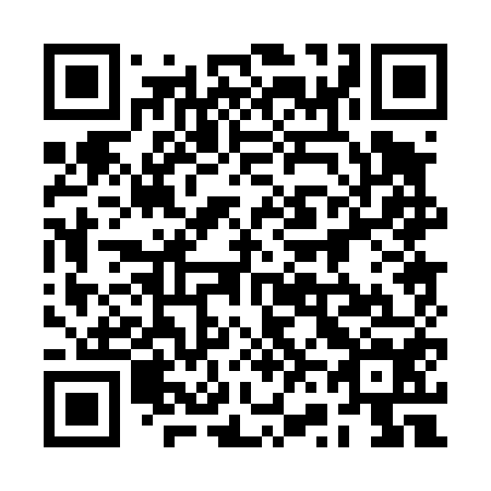 QR code for plate 2V0 454