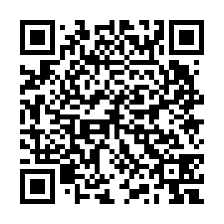 QR code for plate 2V1 638