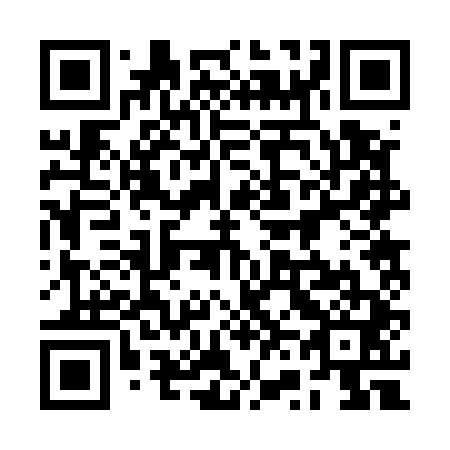 QR code for 2V2 541