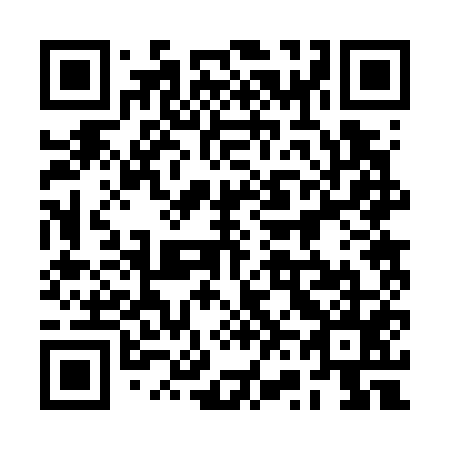 QR code for plate 2V2 755