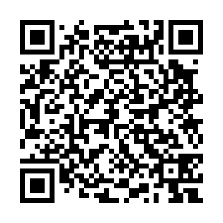 QR code for plate 2V3 038