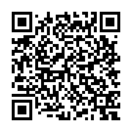 QR code for plate 2V5 131