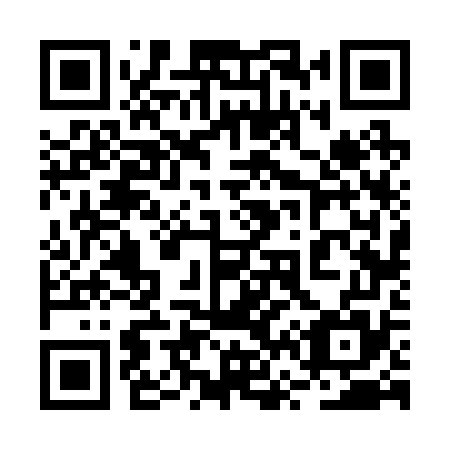 QR code for plate 2V6 275