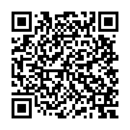 QR code for plate 2V7 501