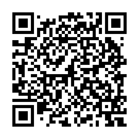 QR code for 2V8 295