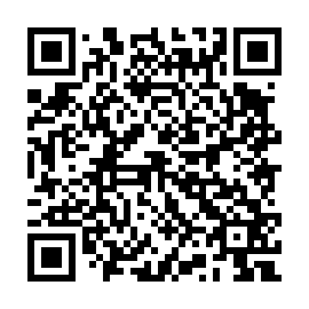 QR code for plate 2V8 462