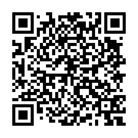QR code for plate 2V9 471
