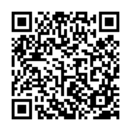 QR code for plate 2VO 447