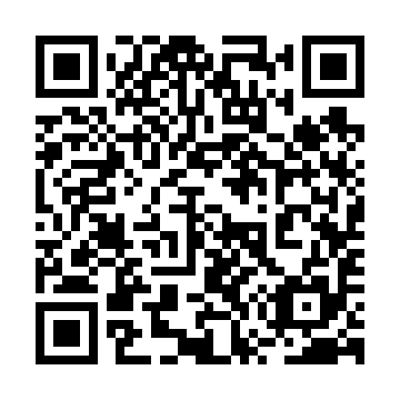 QR code for plate 2W3 695
