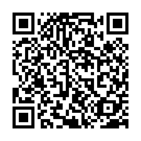 QR code for plate 2W5 009