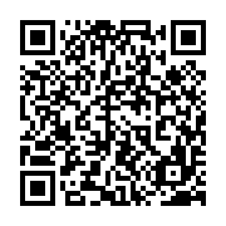 QR code for plate 2W5 096