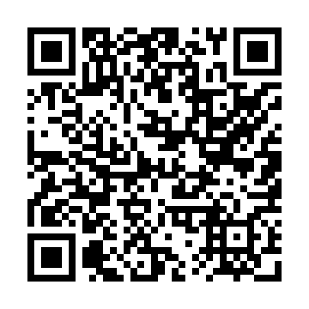 QR code for plate 2W5 868