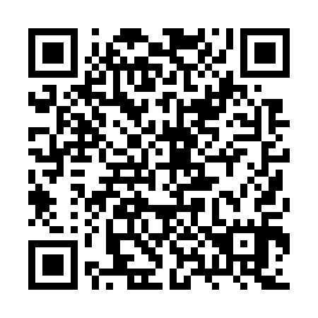 QR code for plate 2X0 715
