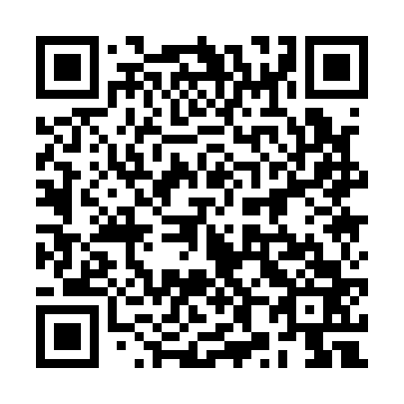 QR code for plate 2X1 163