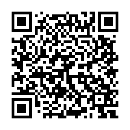 QR code for plate 2X1 563