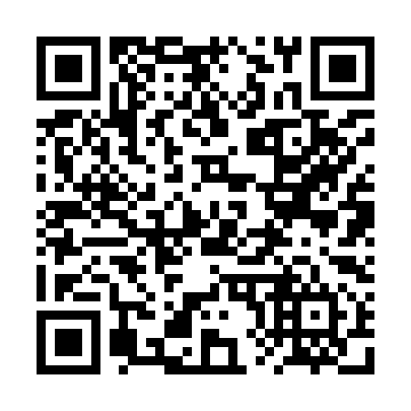 QR code for 2X2994