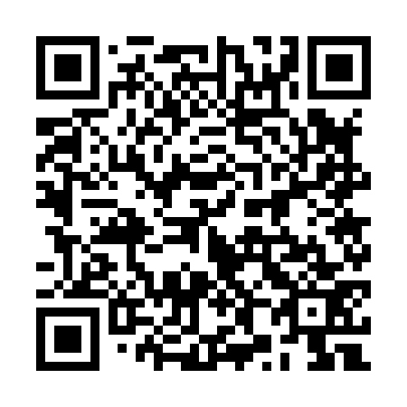 QR code for plate 2X7 873