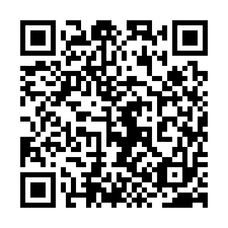 QR code for 2X9313