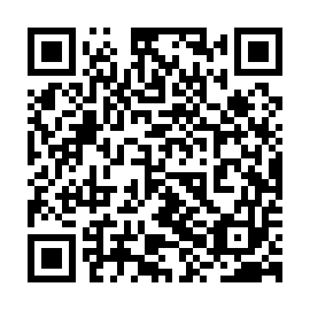 QR code for plate 2XD Q53