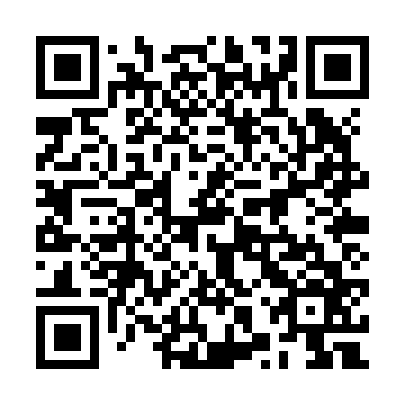 QR code for plate 2XP Z66