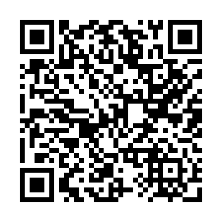 QR code for plate 2Y9 141