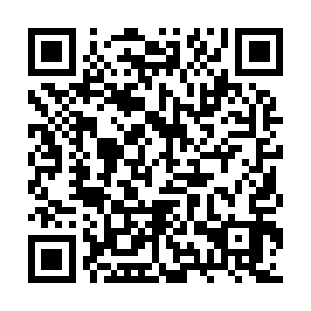 QR code for plate 2YQ 913