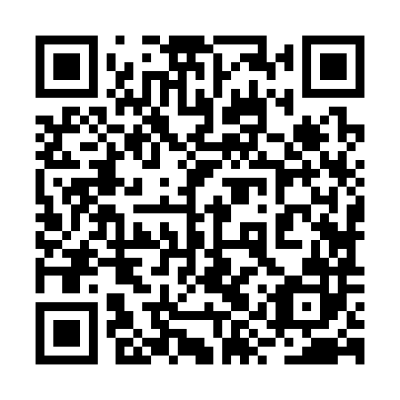 QR code for plate 2YZ 382